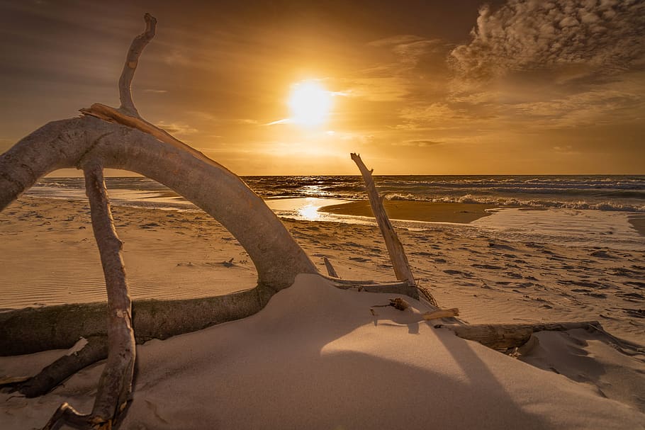 HD wallpaper: baltic sea, west beach, sunset, nature, fischland-darss ...