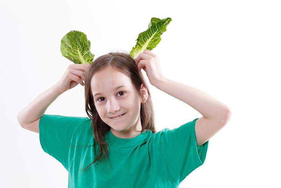 salad, rabbit, play, vegetables, food, fresh, vegetarian, vegan HD wallpaper