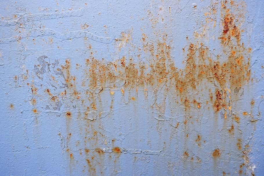 rust, rug, texture, steel, oil spill, insect, animal, cricket insect HD wallpaper