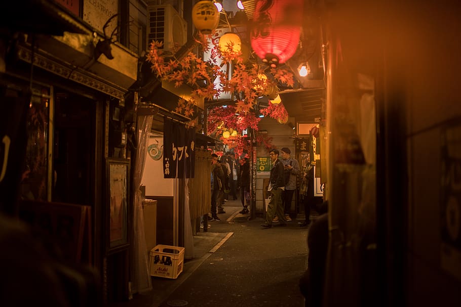 Photo of People Walking on Alleyway, evening, japan, Japanese