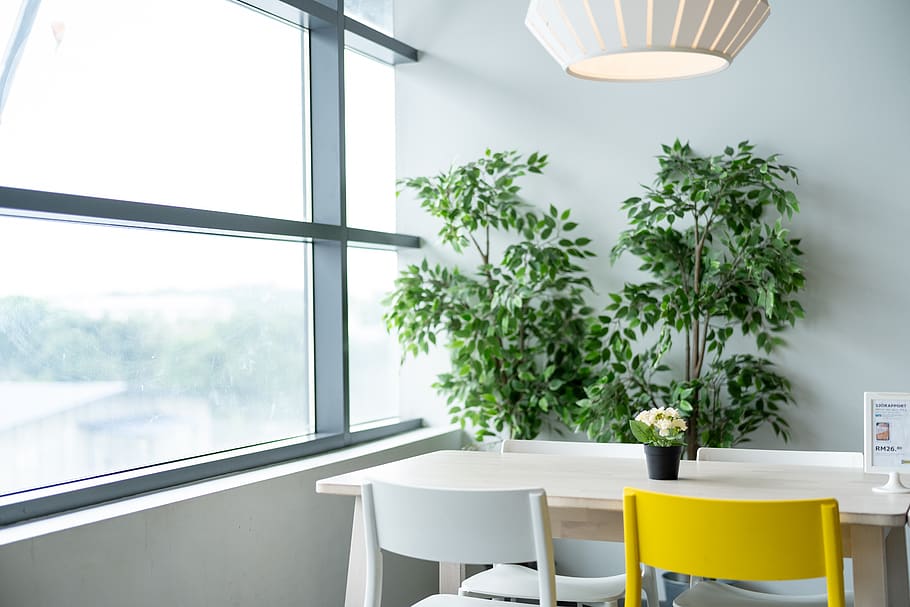 ikea, table, dining, chair, lamp, plant, natural, lifestyle HD wallpaper