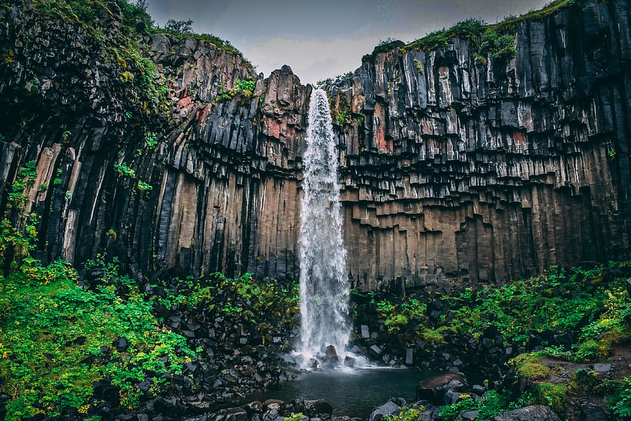 Waterfall Surrounded With Green Leaf Plant View, beautiful, cascade HD wallpaper