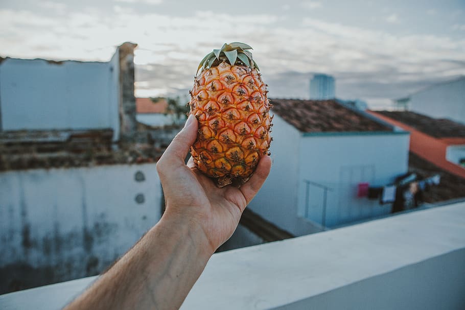 person holding pineapple, flora, food, fruit, plant, produce HD wallpaper