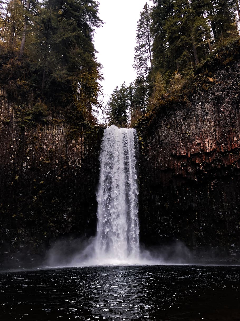 waterfalls in forest, tree, motion, plant, long exposure, nature HD wallpaper