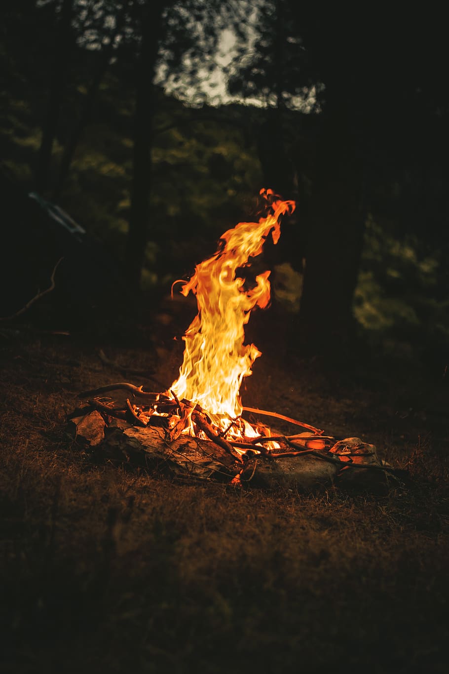 Bonfire, flame, heat, hot, outdoorchallenge, burning, fire - natural phenomenon HD wallpaper