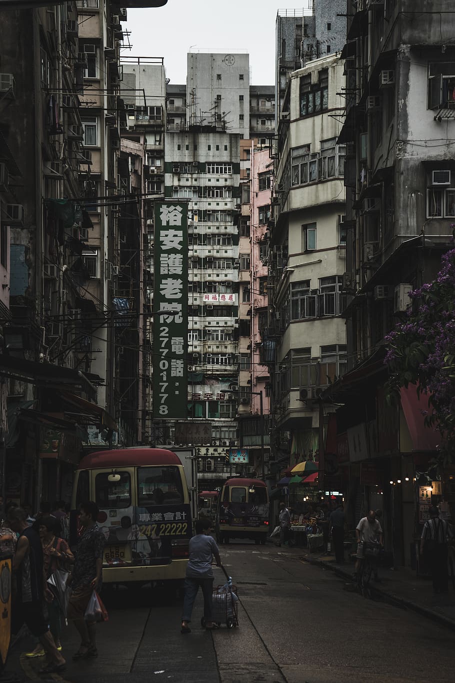hong kong, kowloon, street, travel, asia, lonely planet, building exterior, HD wallpaper