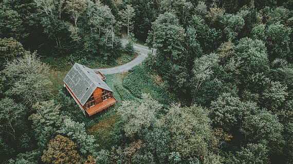 aerial photography of orange house in middle of forest, cabin HD wallpaper