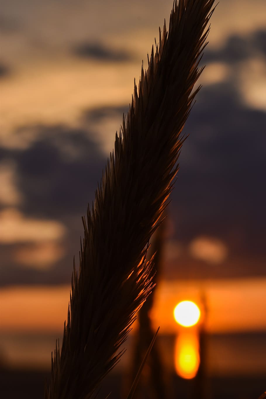 nature, sunset, landscape, sky, evening, dawn, clouds, horizon HD wallpaper