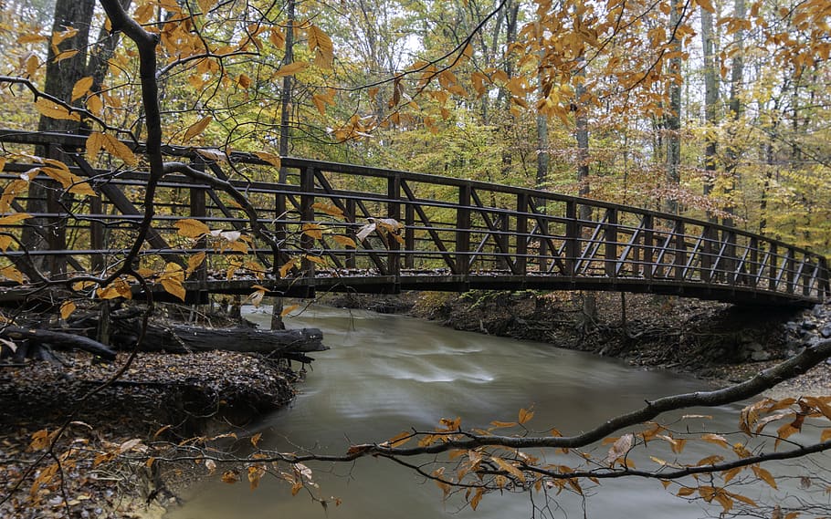fall, autumn, leaves, leaf, landscape, bridge, river, stream HD wallpaper