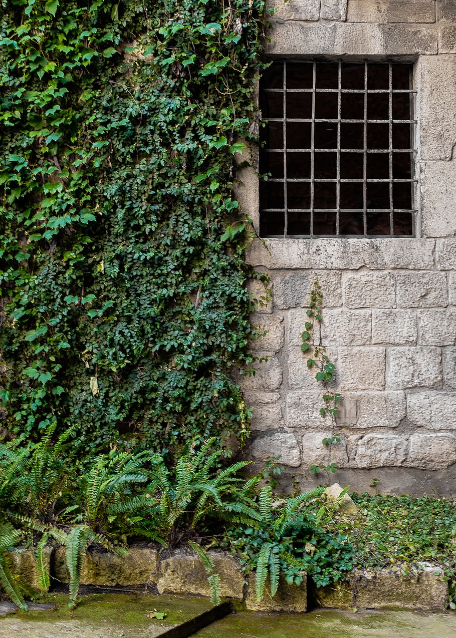españa, salt, old, pattern, roman, nature, spain, got, window HD wallpaper