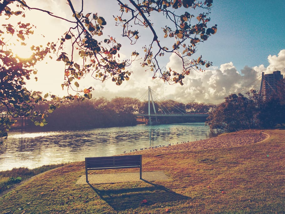 australia, main beach, water, tree, bridge, leaves, morning HD wallpaper