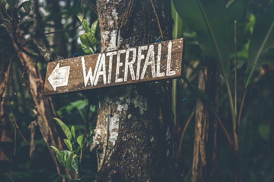 Brown Wooden Waterfall Direction Sign Placed on Brown Tree Bark, HD wallpaper