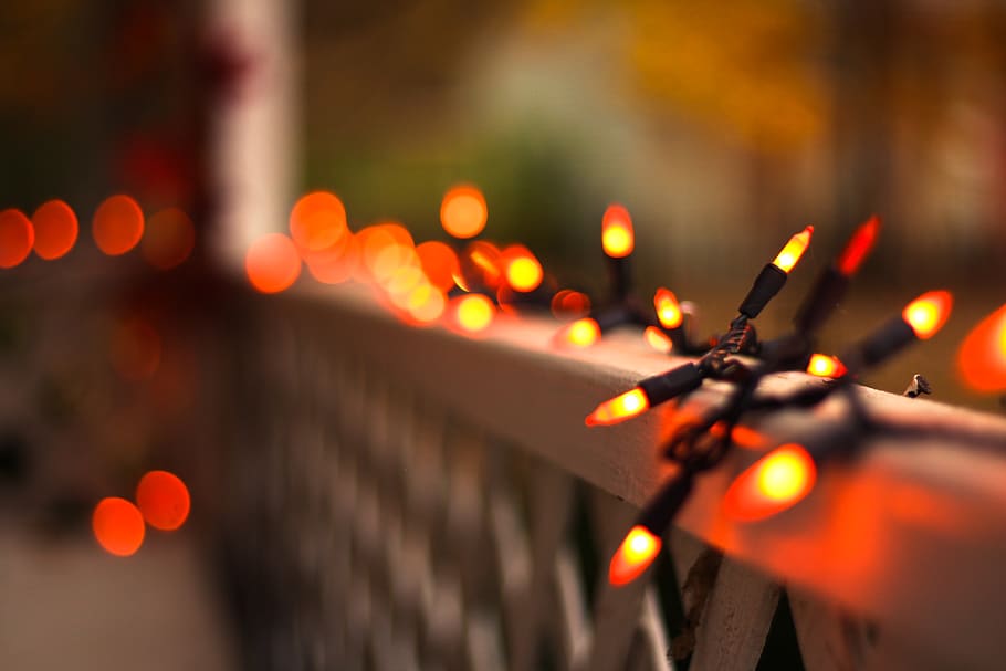 lights, bokeh, autumn, macro, illuminated, selective focus HD wallpaper