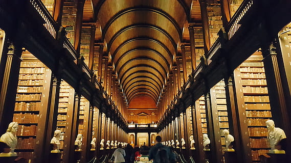 people inside library, architecture, person, corridor, building HD wallpaper