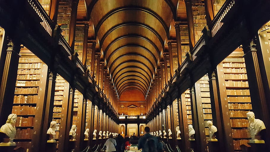 people inside library, architecture, person, corridor, building HD wallpaper