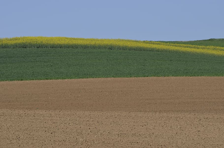 spring, fields, agriculture, sky, rural, arable land, hill HD wallpaper