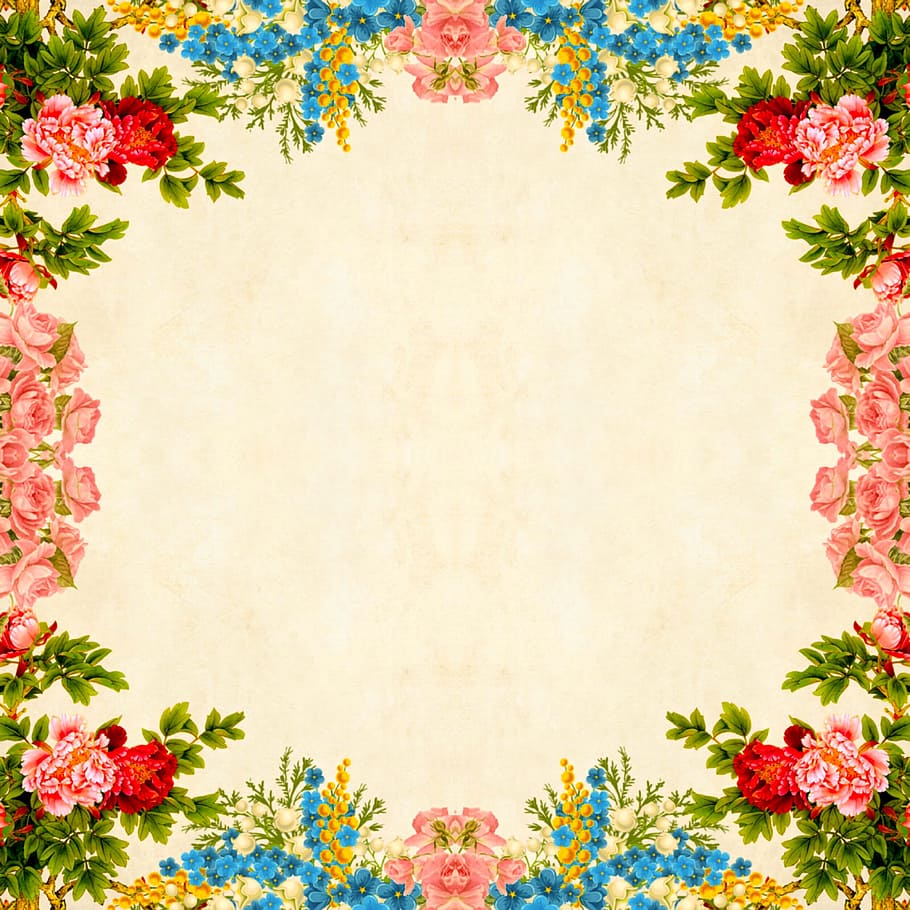 HD wallpaper: flower, border, background, floral, vintage, roses ...