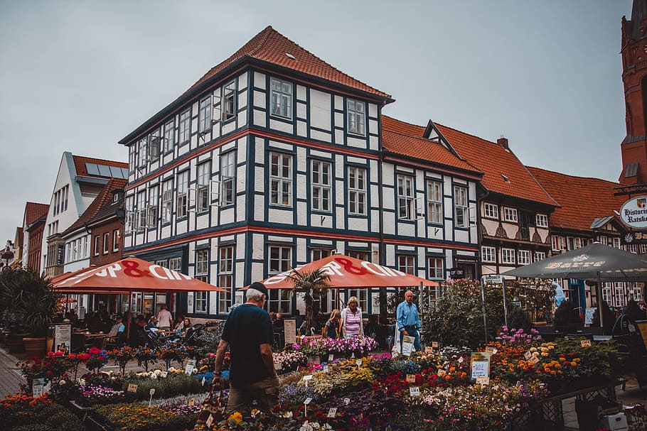 People Standing Beside Flowers Near Building, architecture, assorted HD wallpaper