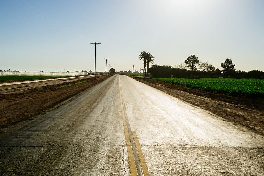 gray road path, sky, transportation, tree, plant, nature, landscape HD wallpaper