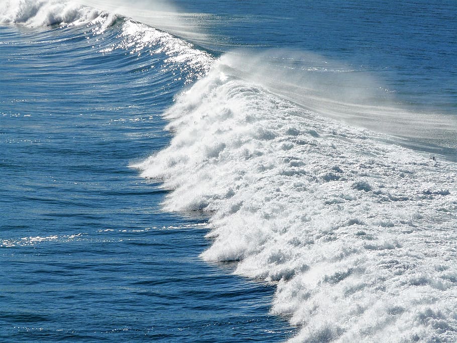 australia, avalon beach, sea, water, motion, beauty in nature HD wallpaper