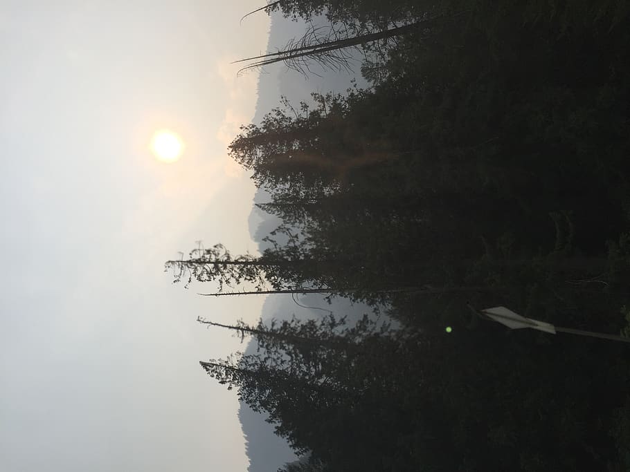 canada, hope, forest fires, smoke, trees, plant, sky, nature HD wallpaper