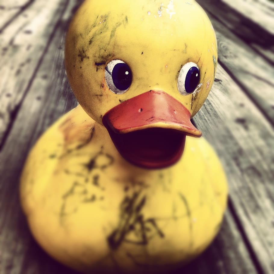 Rubber Duck on Table, dirty, horror, yellow, close-up, no people HD wallpaper