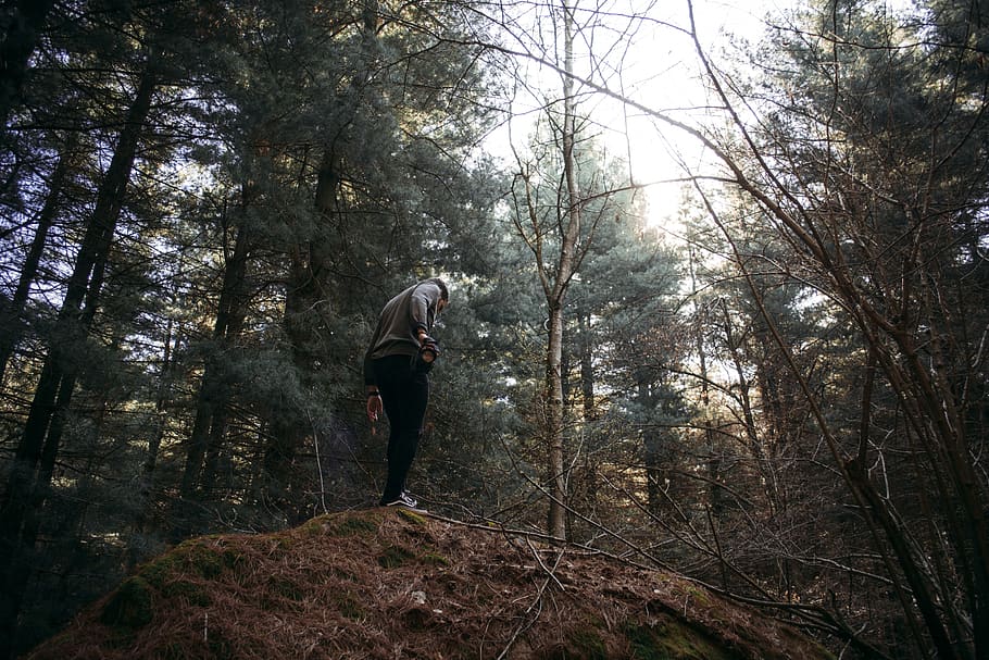 man standing on rock, tree, forest, plant, land, leisure activity HD wallpaper