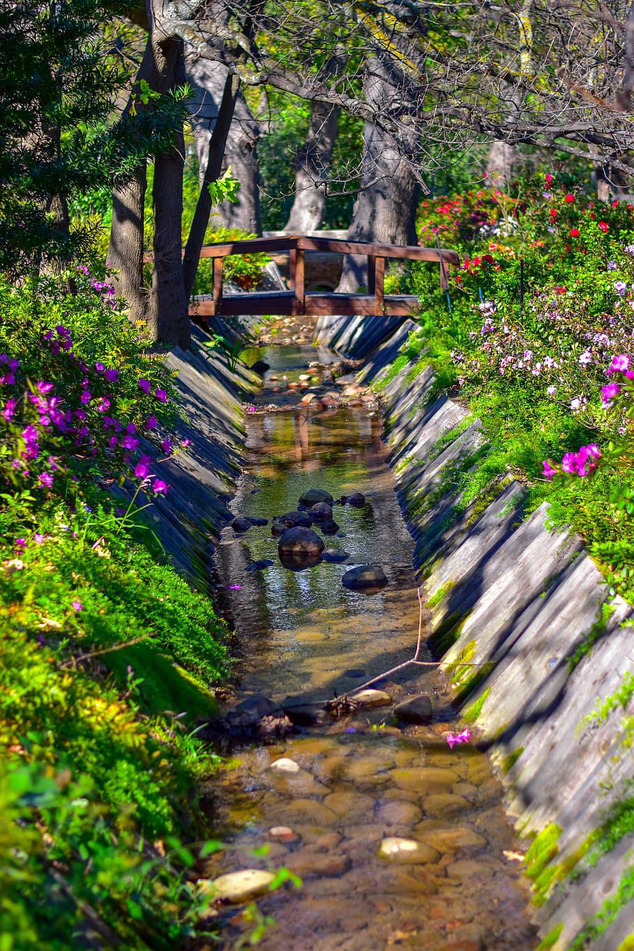 stream, garden, plants, flowers, day, tress, green, leafs, nature HD wallpaper