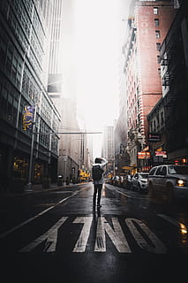 person taking photo of buildings, only, from behind, back, photography HD wallpaper