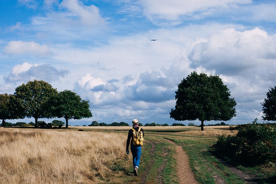 Person in Yellow and Black Backpack Walking on Green Grass Field Under Cloudy Blue Sky during Daytime HD wallpaper