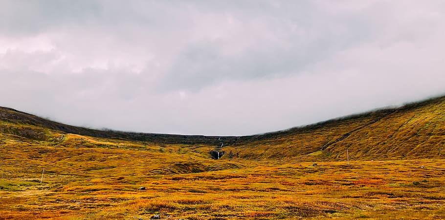 green grass field, grassland, outdoors, iceland, dvergasteinsfjall HD wallpaper