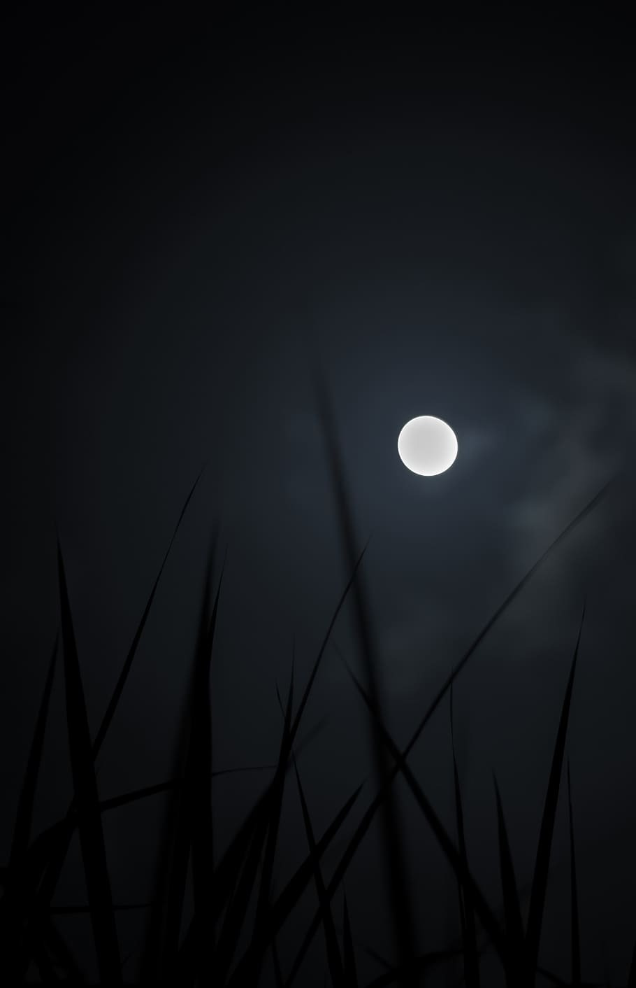 Moonlight, abstract, animated, dark, moon, HD wallpaper