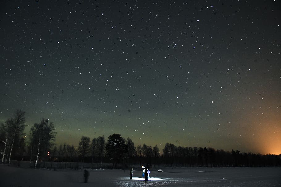 night, star - space, scenics - nature, sky, tree, beauty in nature HD wallpaper