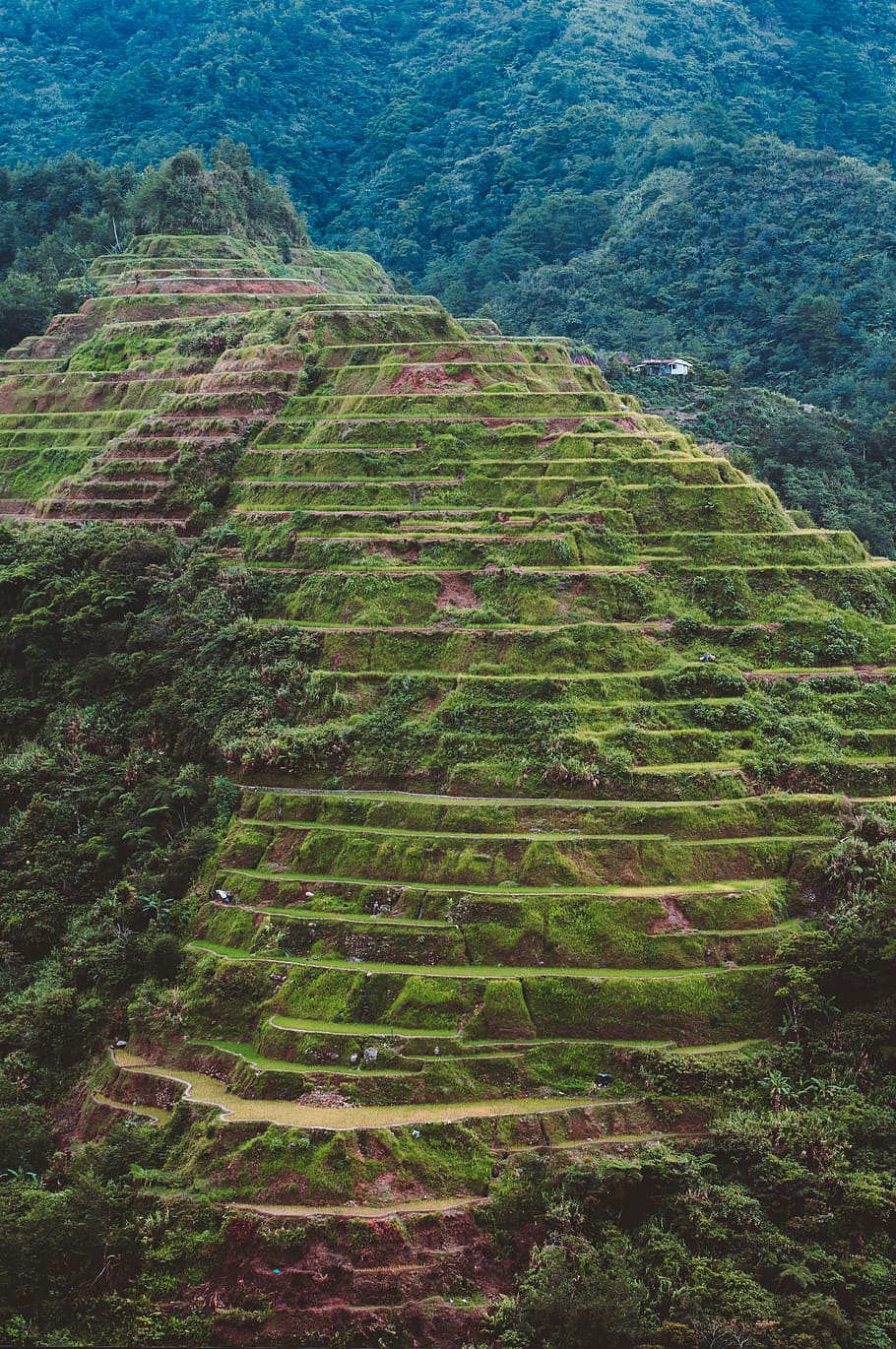 travel, awesome, nature, rice terrace, banaue, philippines, HD wallpaper