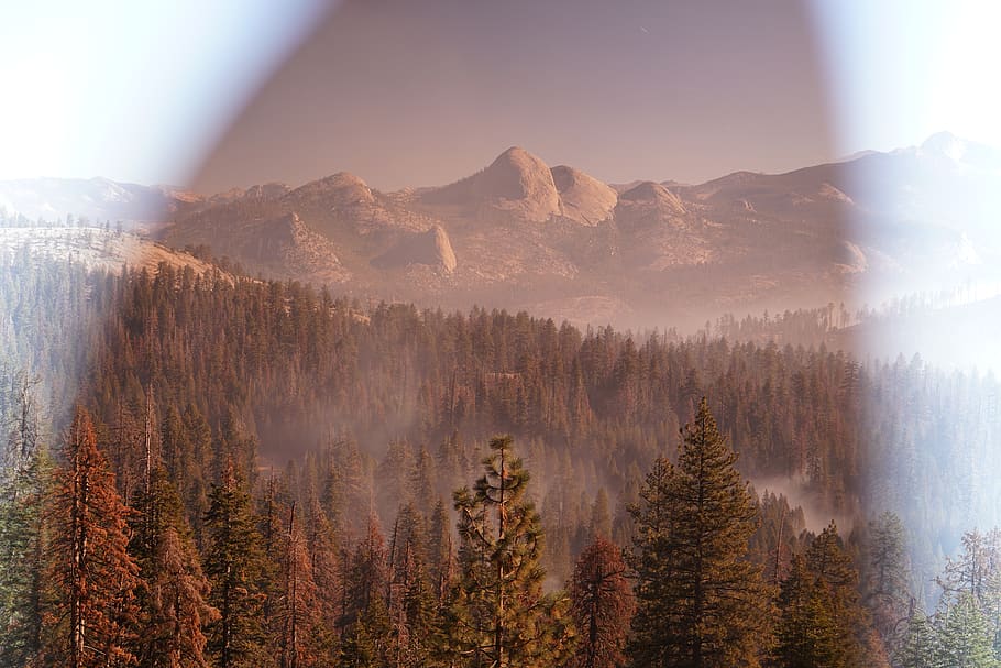 fire, yosemite, half dome, tree, beauty in nature, mountain HD wallpaper