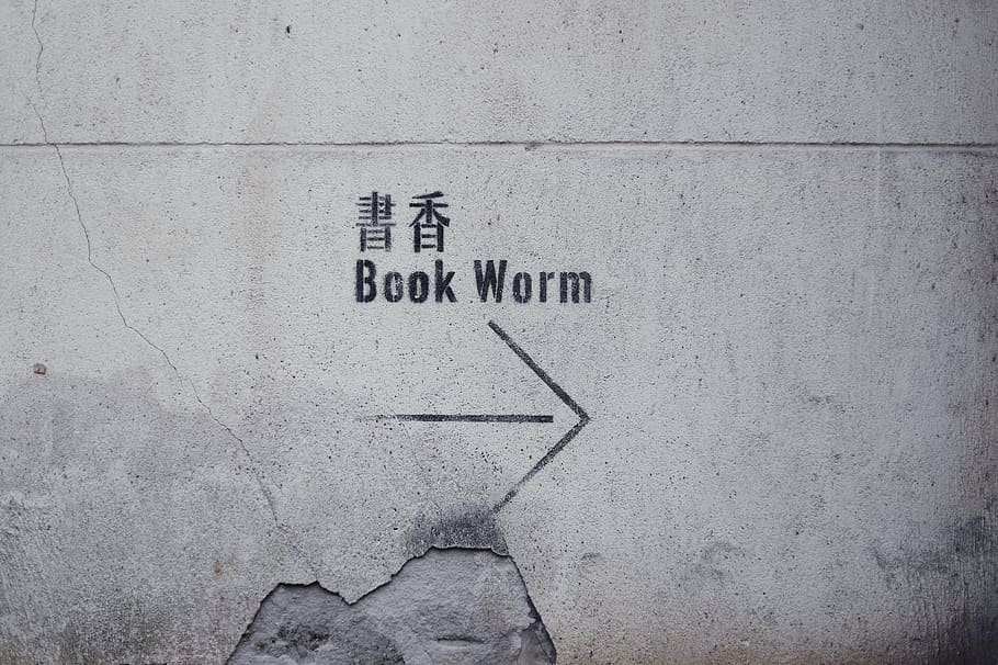 Book Worm sign, communication, text, wall - building feature HD wallpaper