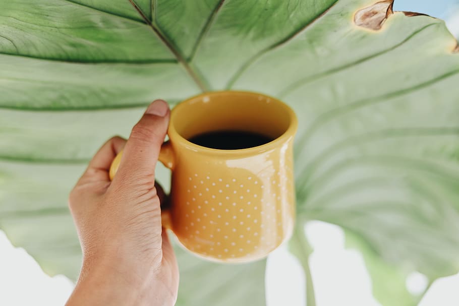 yellow ceramic mug on left human hand, coffee, holding, leaf HD wallpaper