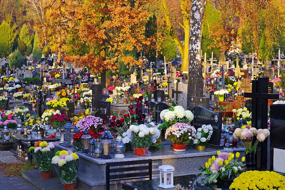 autumn, the feast of the dead, cemetery, graves, all souls' day, HD wallpaper