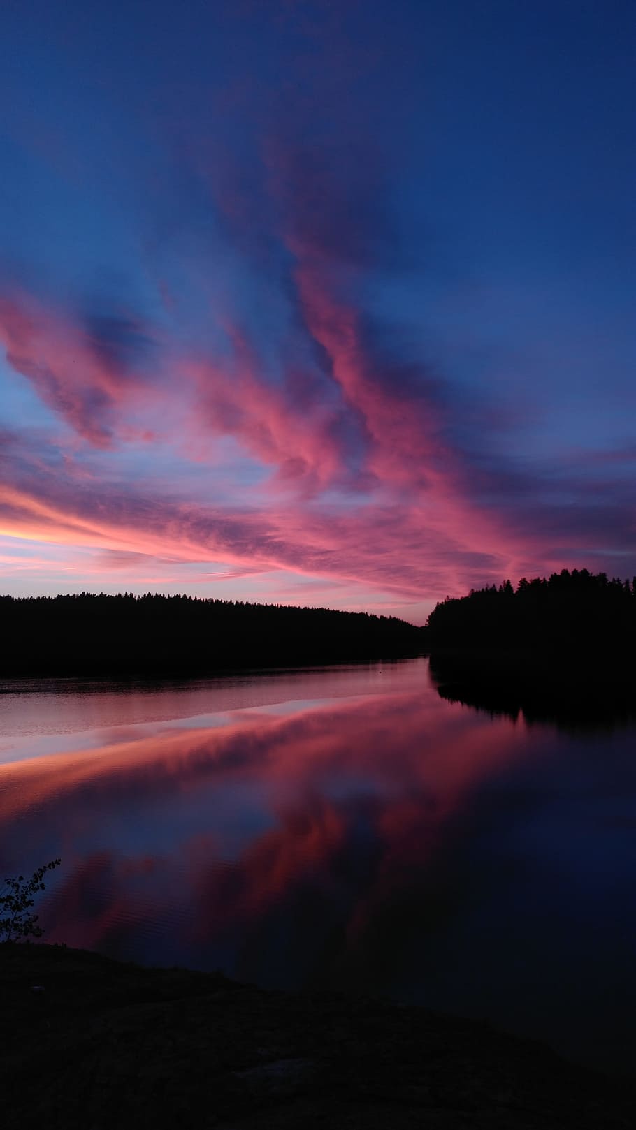 Body of Water Surrounded by Trees, backlit, conifer, dawn, dramatic HD wallpaper