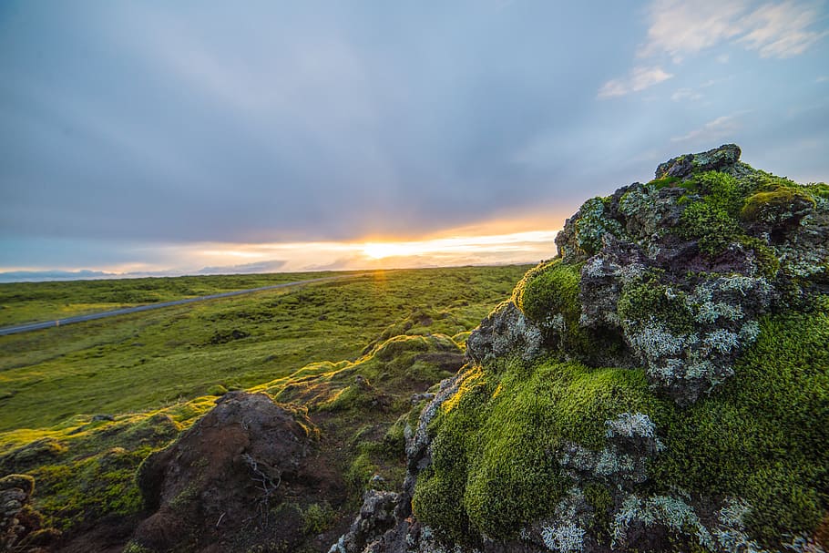 landscape photography, iceland, outdoors, moss, vik, nature, rock HD wallpaper