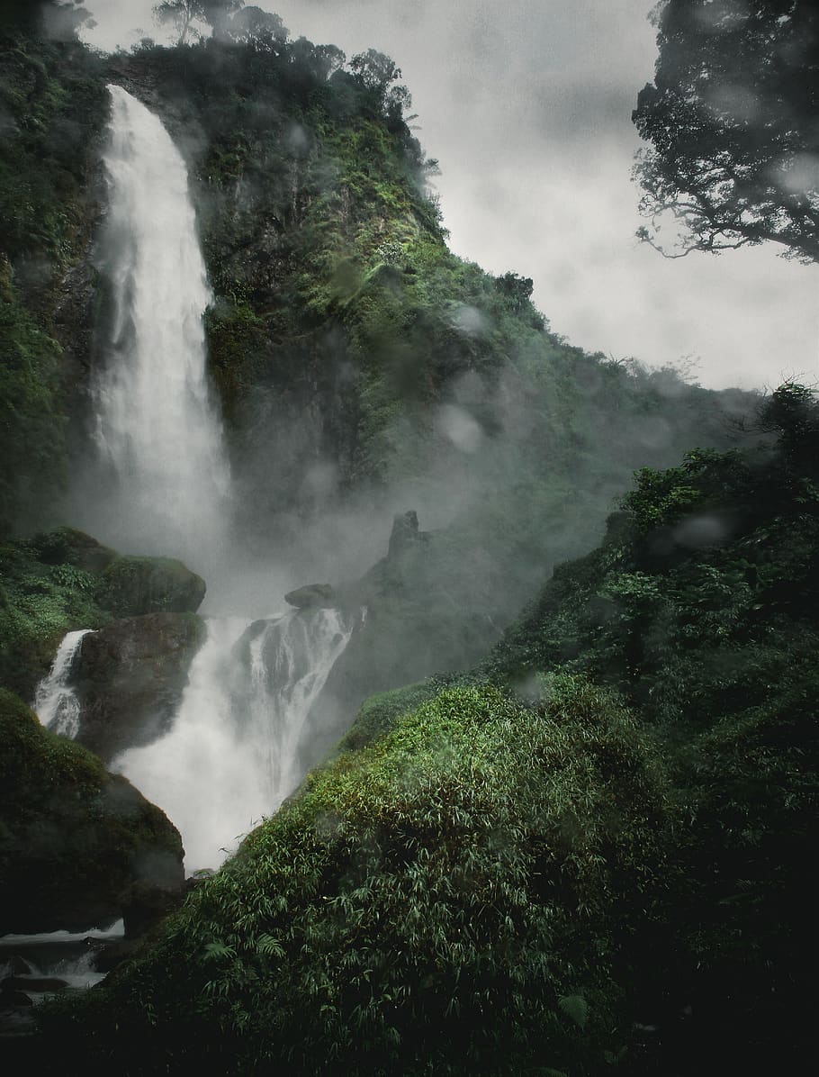scenics - nature, beauty in nature, plant, tree, waterfall HD wallpaper