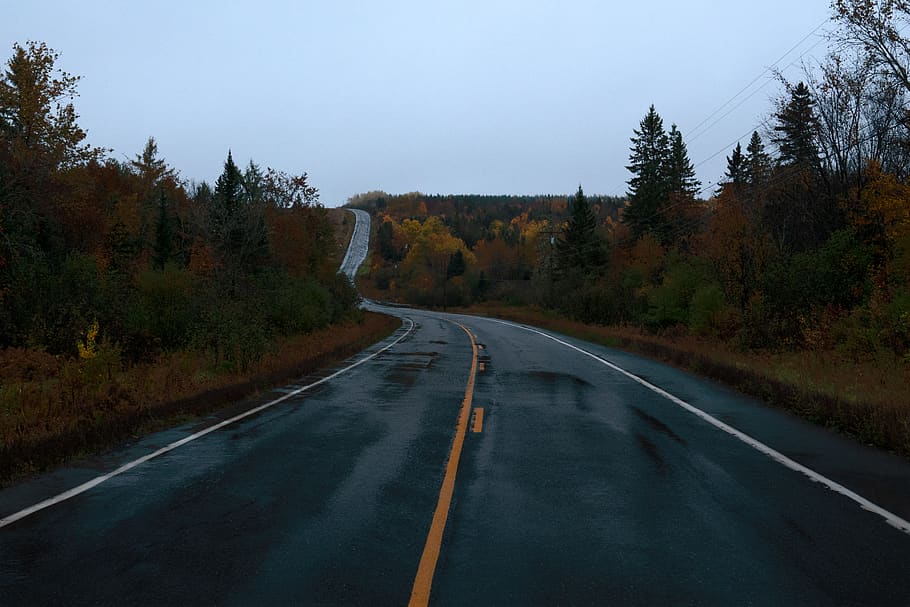 road between trees, way, highway, gravel, dirt road, direction HD wallpaper
