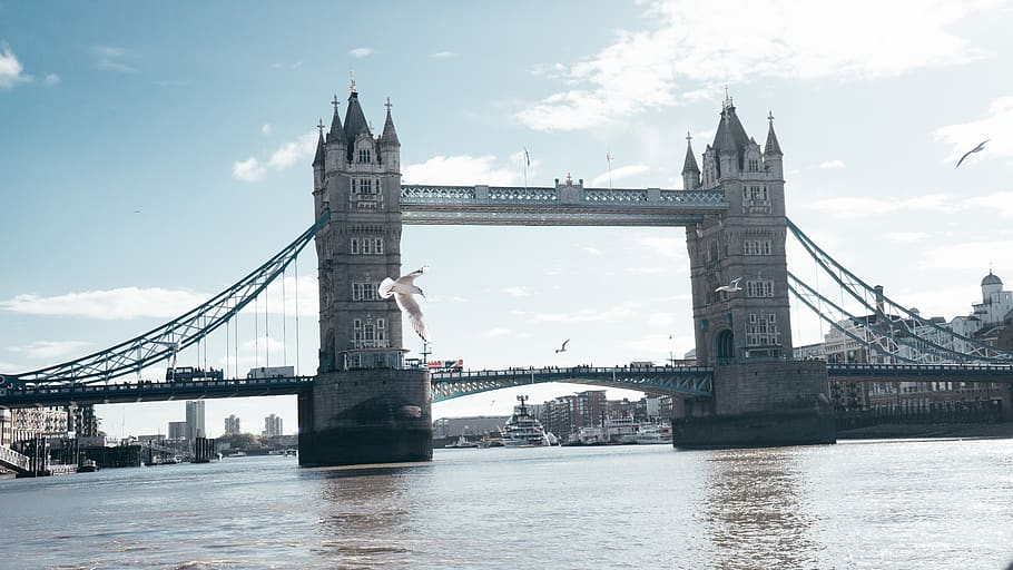 united kingdom, tower bridge, architecture, water, built structure HD wallpaper