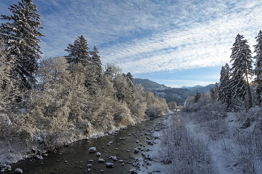 winter, bach, snowy, cold, creek, waters, landscape, tree, plant HD wallpaper
