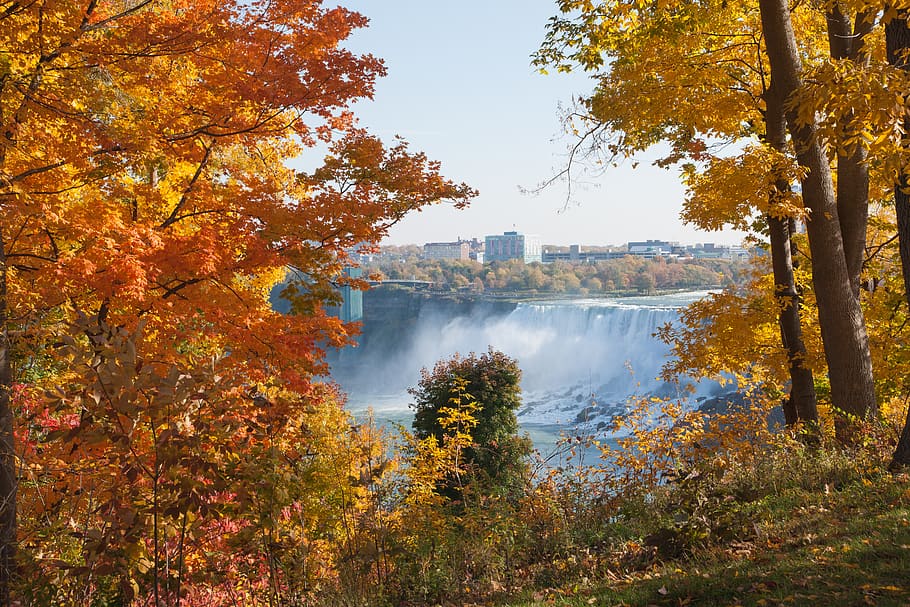 canada, niagara falls, waterfall, trees, nature, leaves, autumn HD wallpaper
