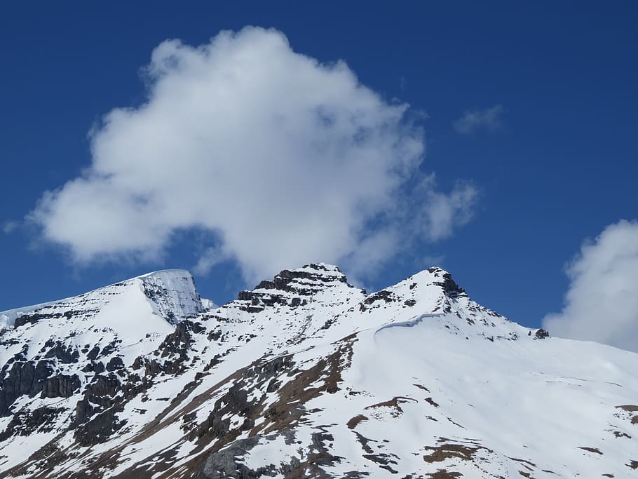 mountain cover with snow, peak, cloud, summit, winter, alpine HD wallpaper