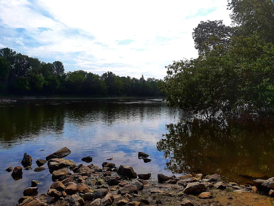 canada, quebec city, water, plant, tree, sky, lake, tranquility HD wallpaper