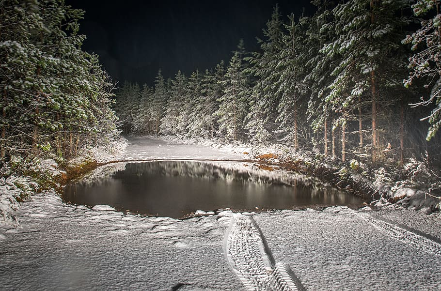 Roadway Filled by Snow Surrounded by Pine Trees Landscape Photography HD wallpaper