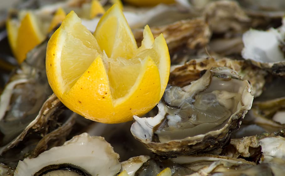 lemon, oysters, shells, food and drink, fruit, healthy eating, HD wallpaper