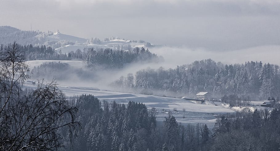 mountain covered with snow view, tree, fog, plant, scenics - nature HD wallpaper